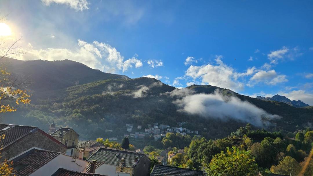 Photo of Others in Bastelica