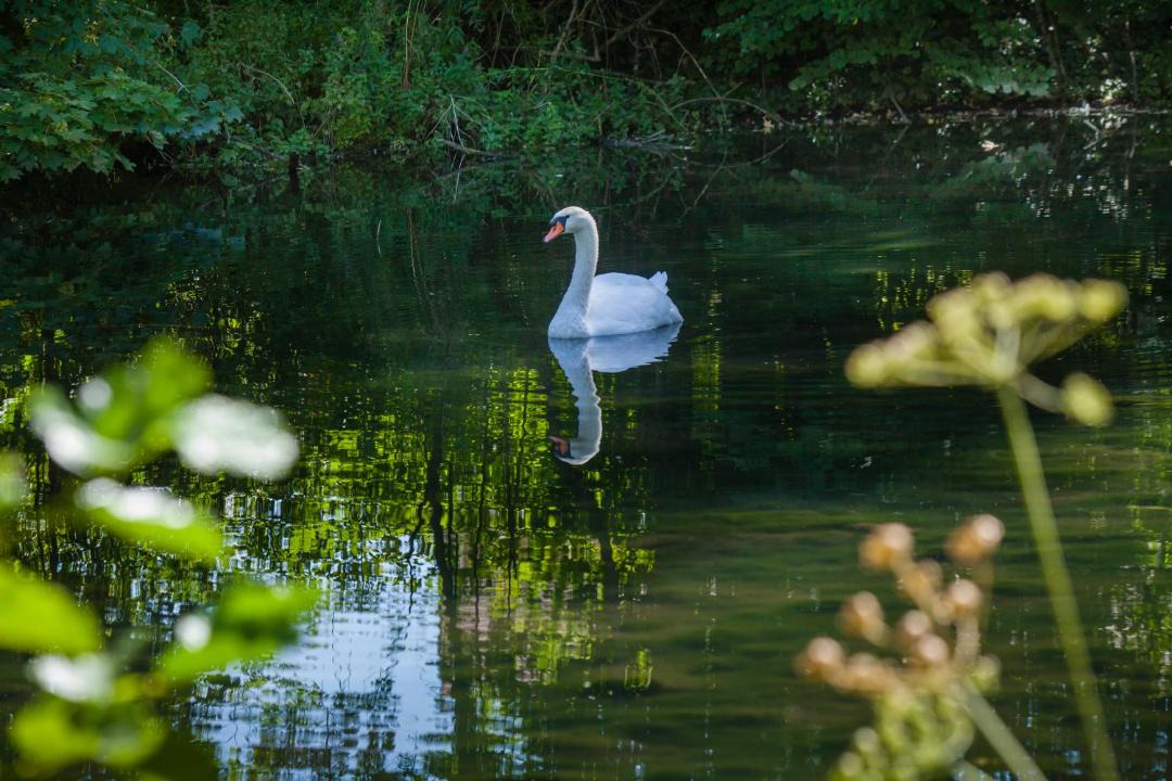Photo of Others in Boutancourt