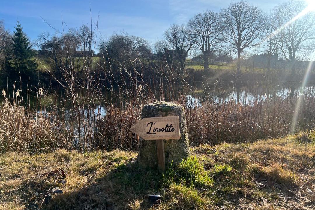 Photo of Others in Youx