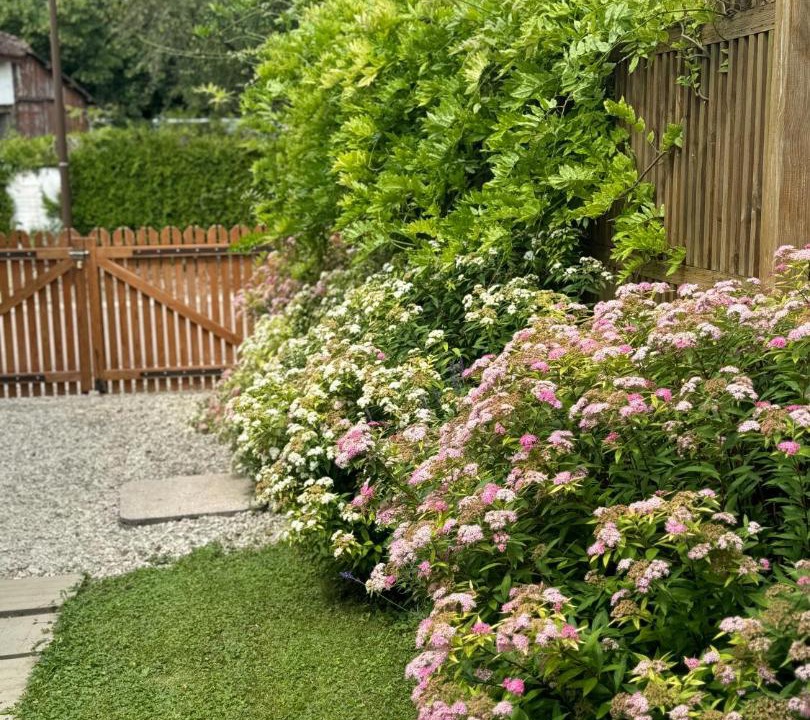 Photo of Others in Precy-Saint-Martin