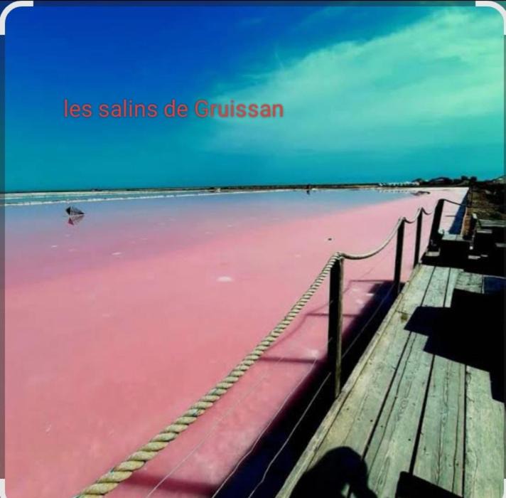 Photo of Others in Bize-Minervois