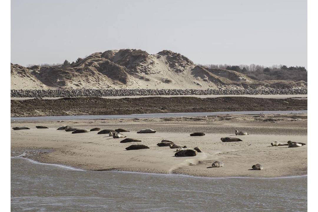 Photo of Others in Merlimont-Plage