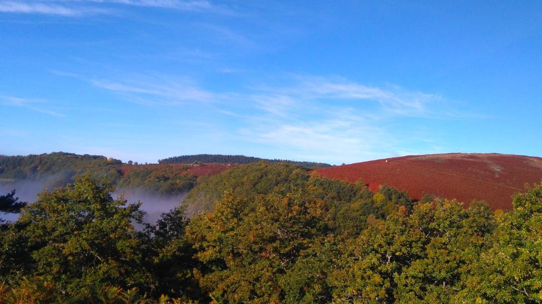 Photo of Others in Nages