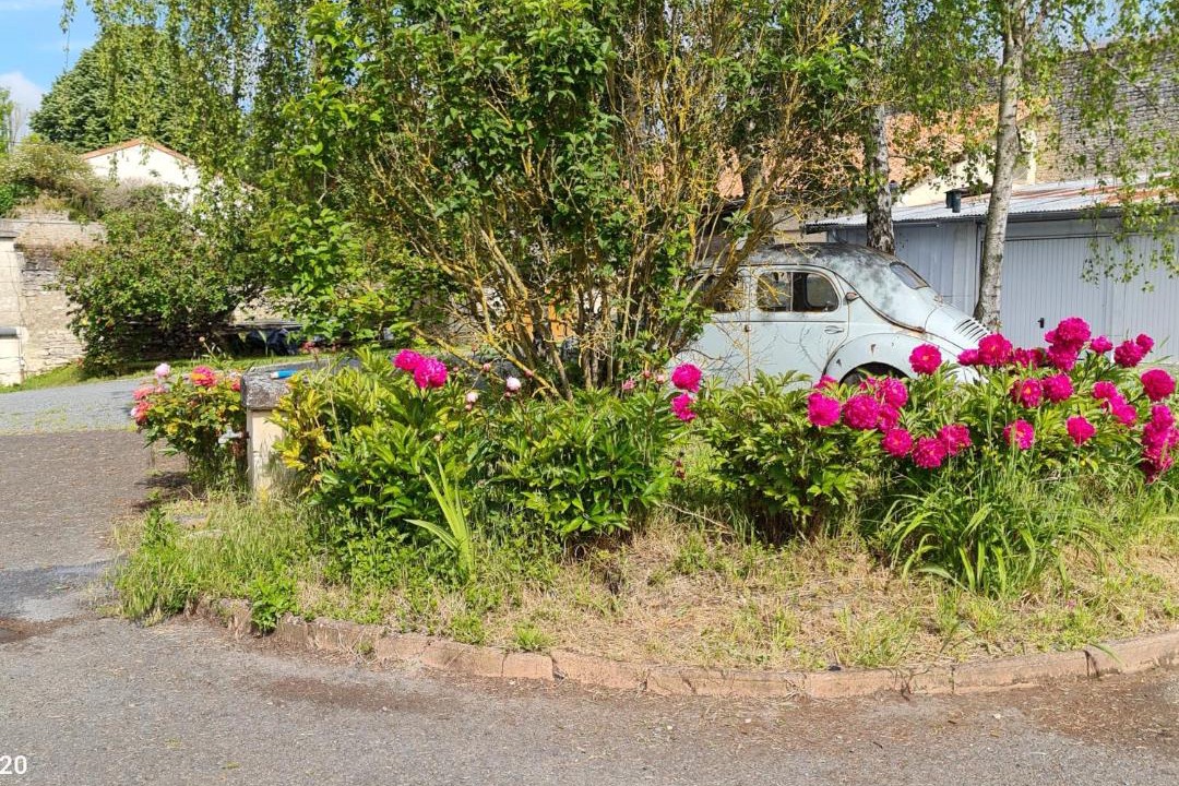 Photo of Others in Mirebeau