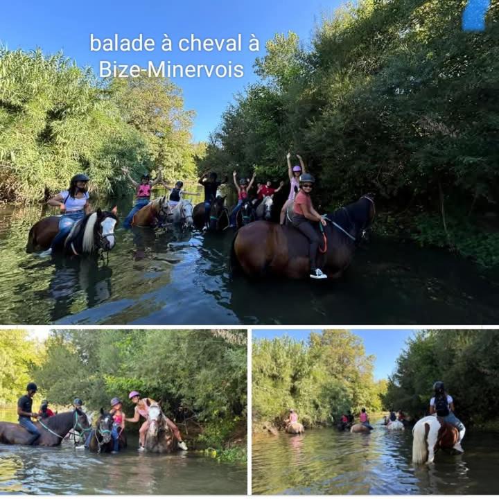 Photo of Others in Bize-Minervois
