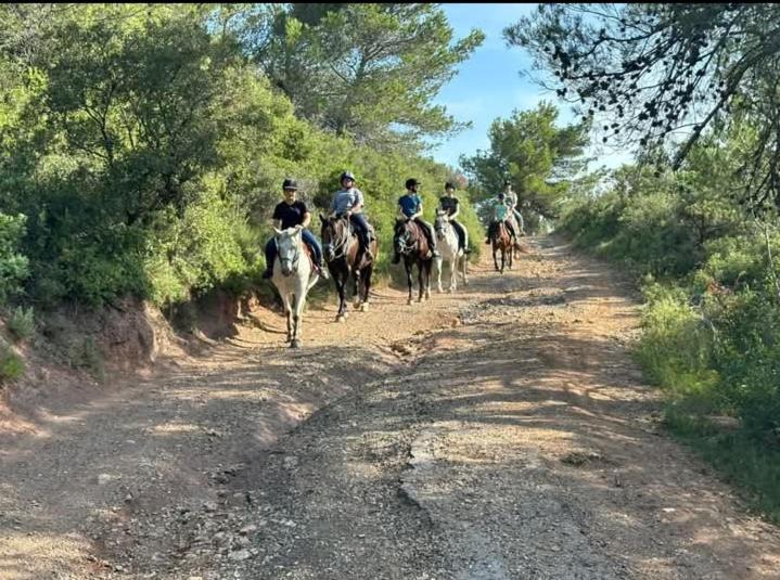 Photo of Others in Bize-Minervois