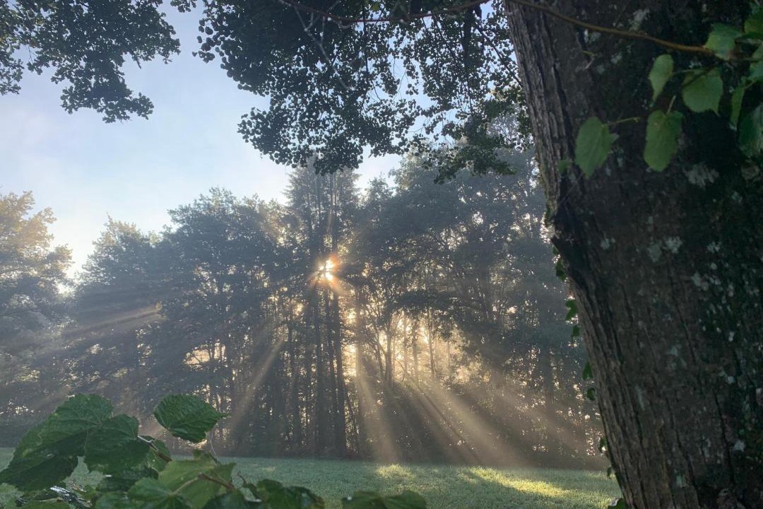Photo of Others in Chatelus-le-Marcheix