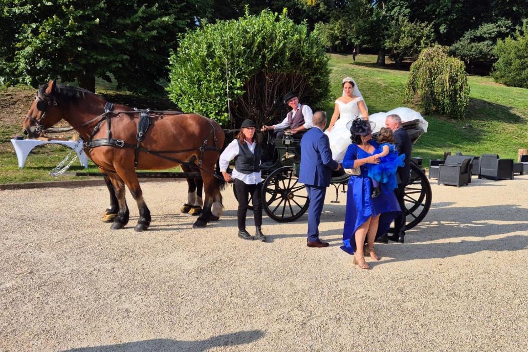 Photo of Others in Marcilloles