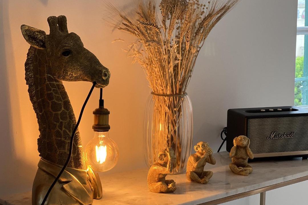 Photo of Others in Villefranche-de-Rouergue