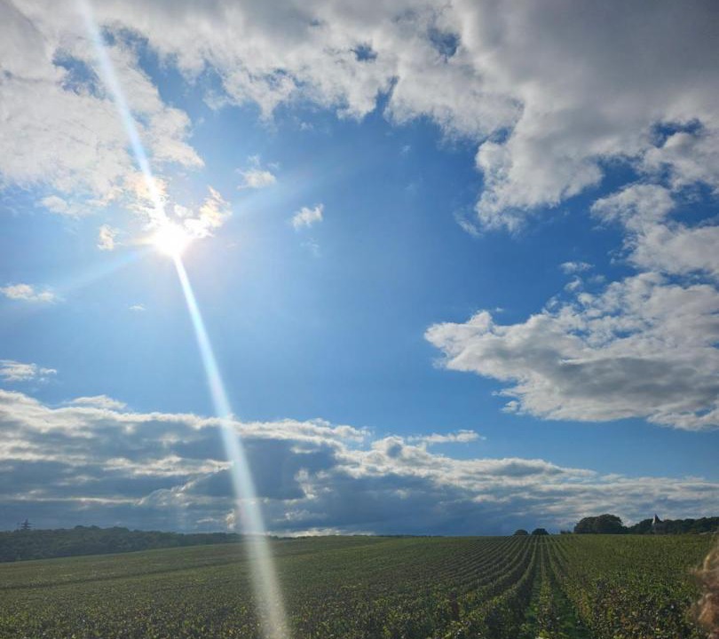 Photo of Others in Neuilly-Saint-Front