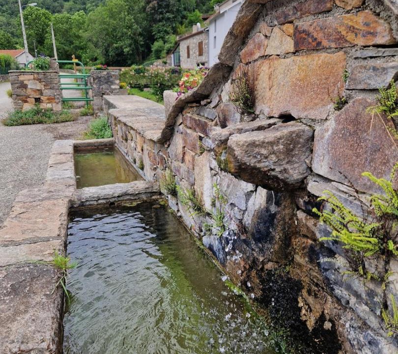 Photo of Others in Arnave