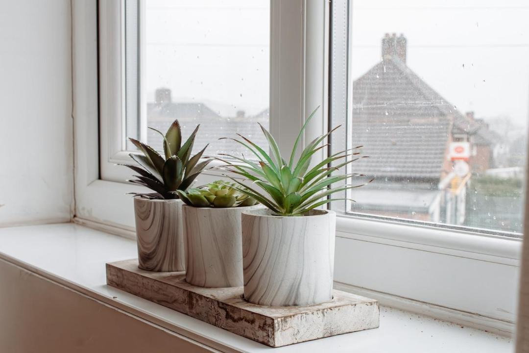 Photo of Others in Leeds