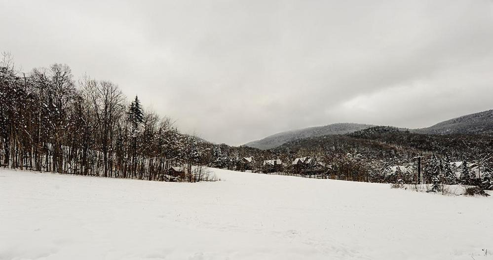 Photo of Others in Stoneham