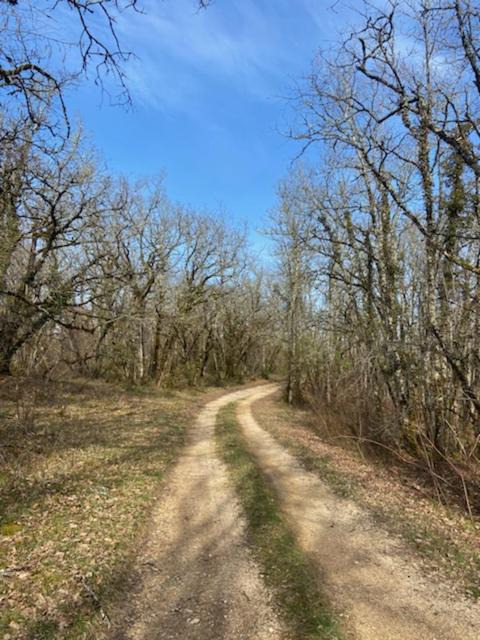 Photo of Others in Badaillac