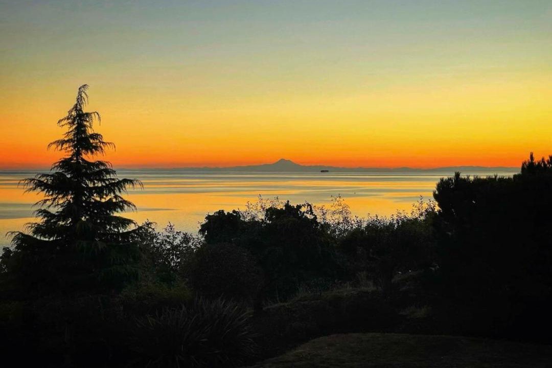 Photo of Others in Port Angeles