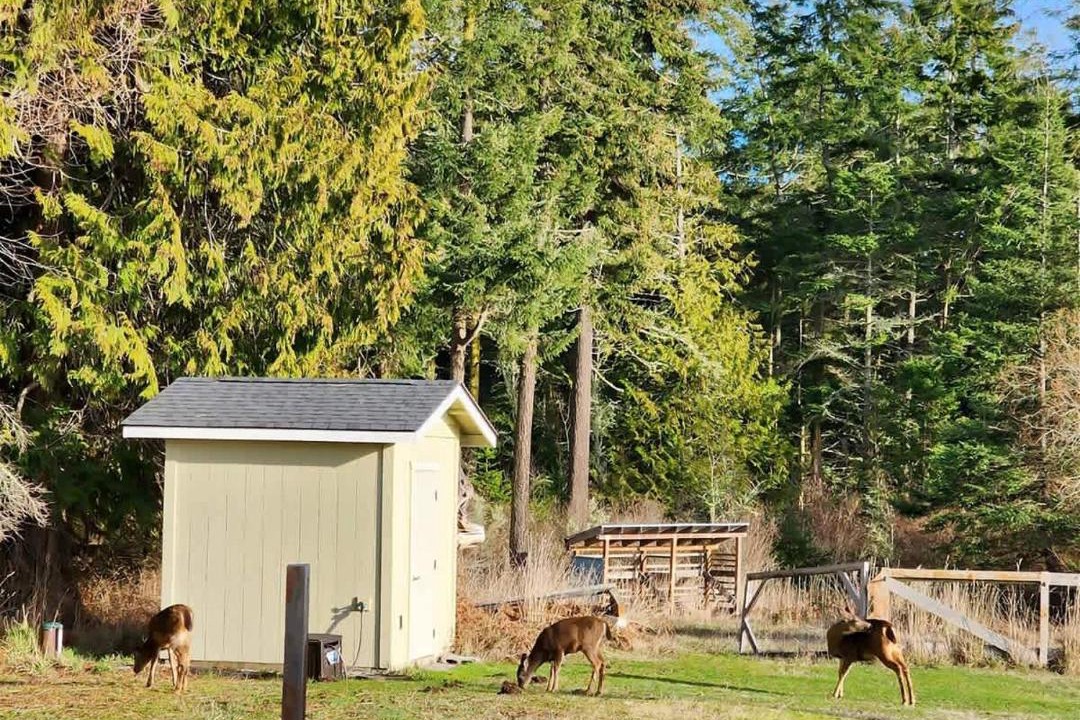 Photo of Others in Sequim