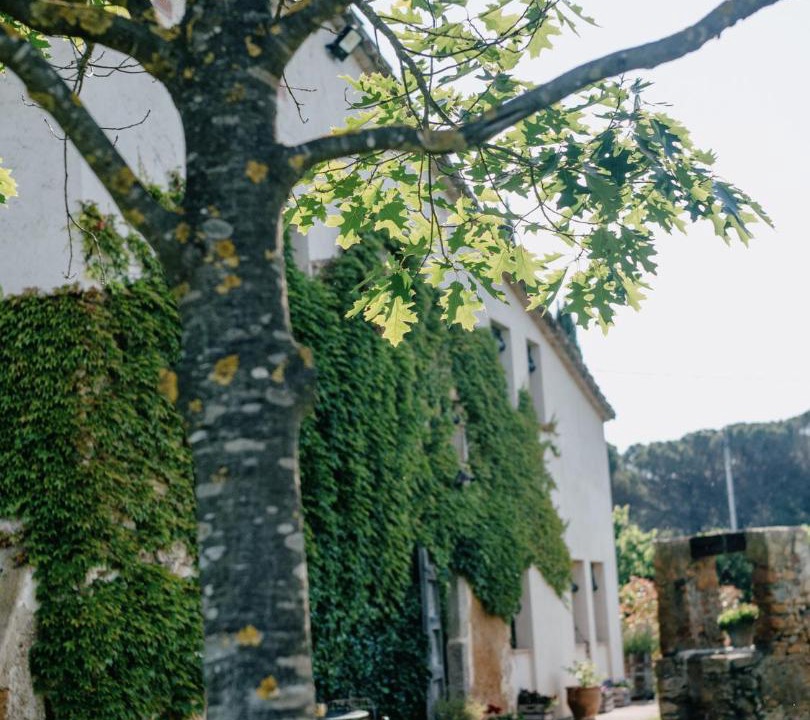 Photo of Others in Llagostera