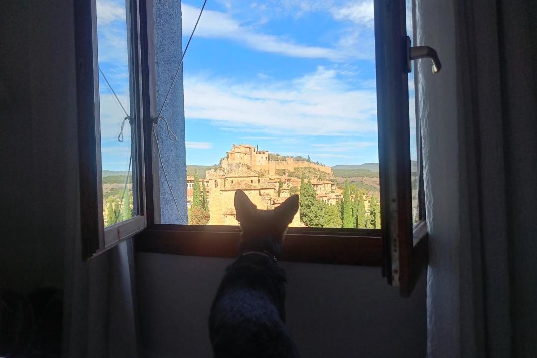 Photo of Others in Alquezar
