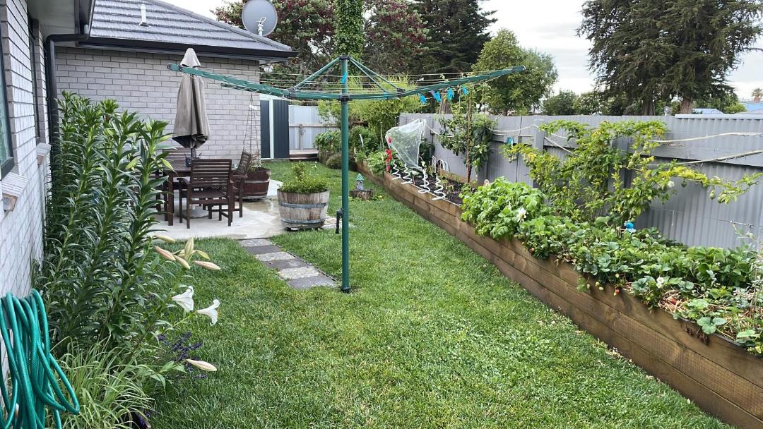 Photo of Others in Napier