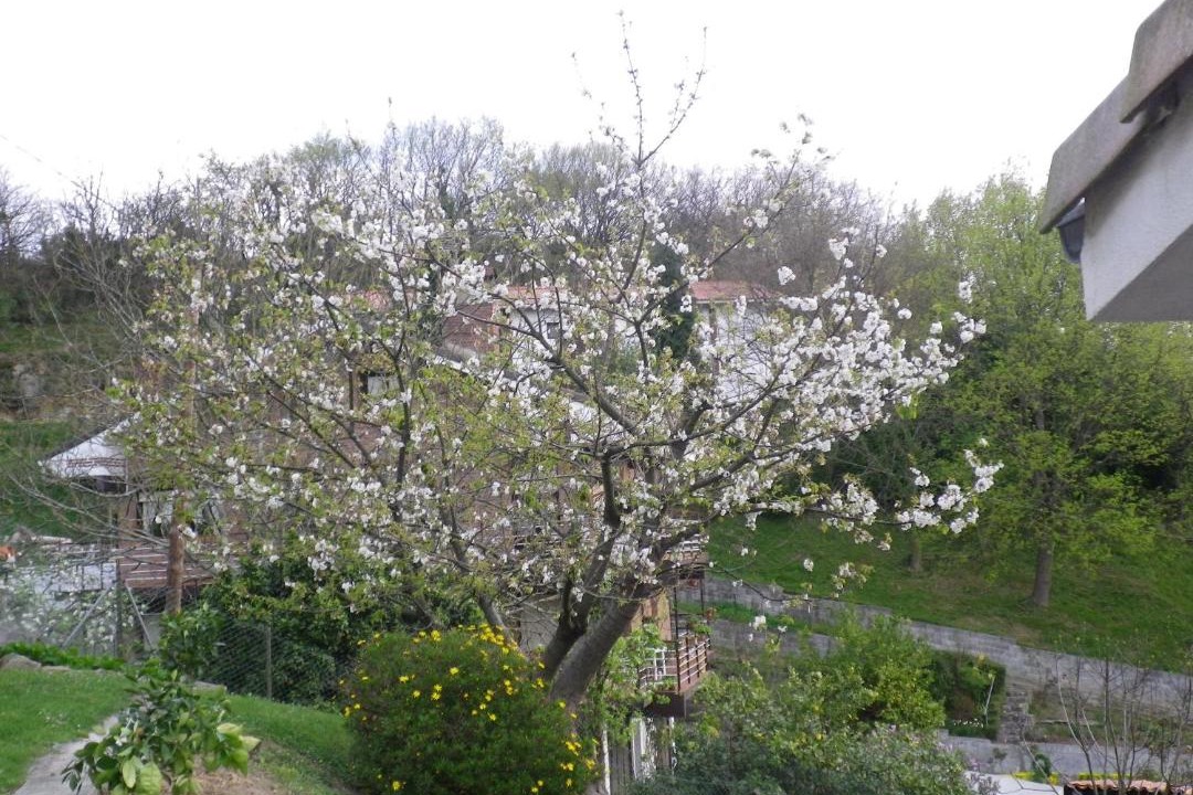 Photo of Others in Hondarribia