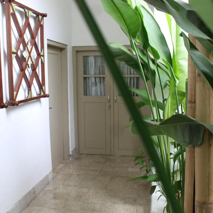 Photo of Others in Banyuwangi