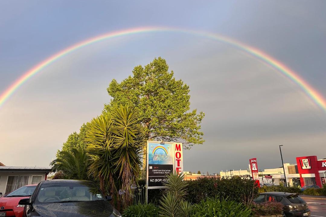 Photo of Others in Tauranga