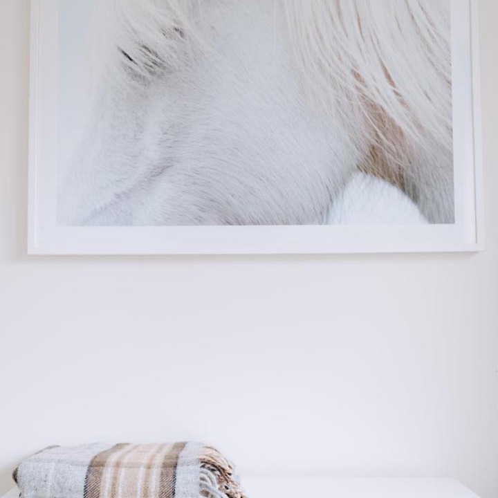 Photo of Others in Jan Juc