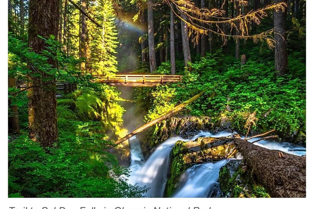 Photo of Others in Beaver