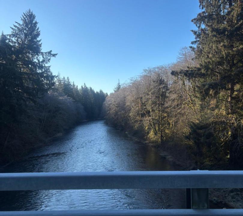 Photo of Others in Beaver