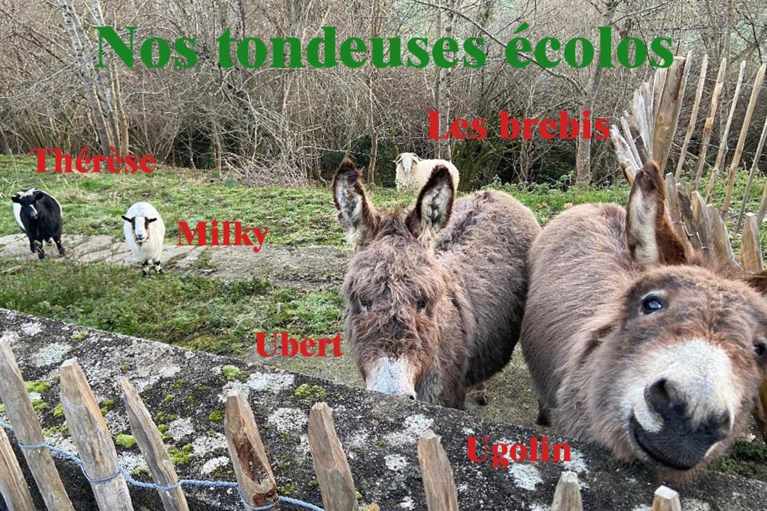 Photo of Others in Narcastet