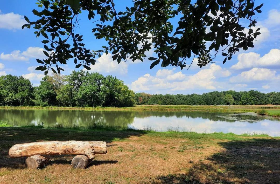 Photo of Others in Brinon-sur-Sauldre