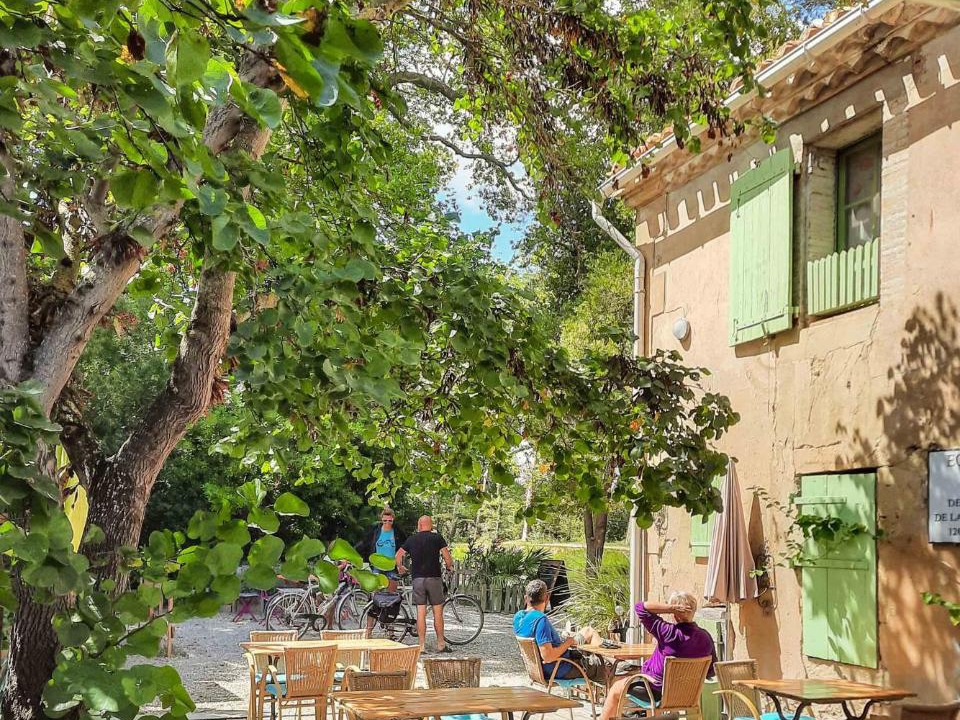 Photo of Others in Mas-Saintes-Puelles