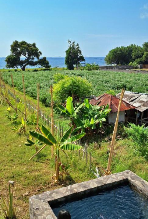 Photo of Others in Kalisada