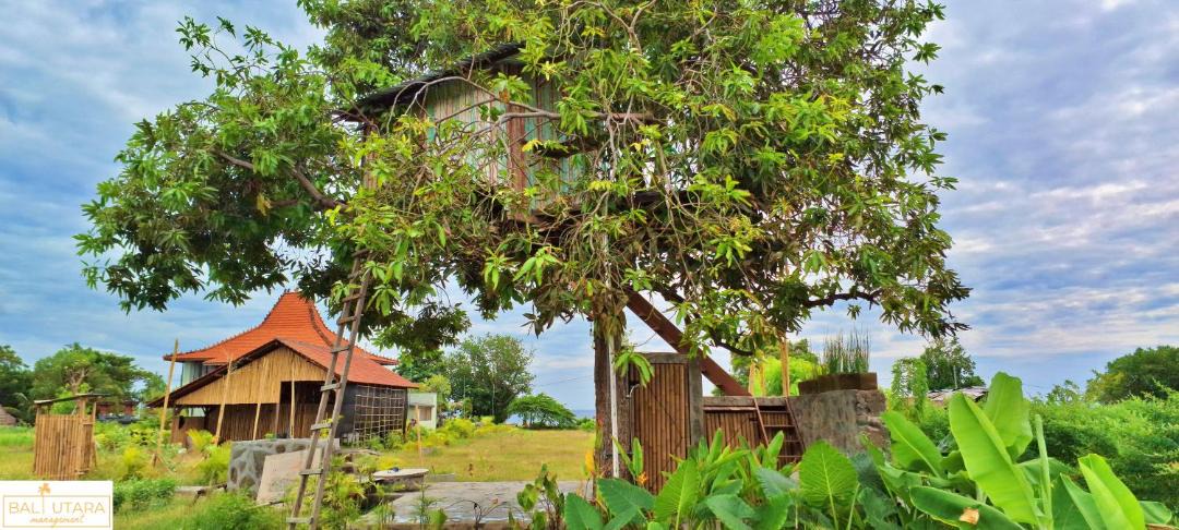 Photo of Others in Kalisada