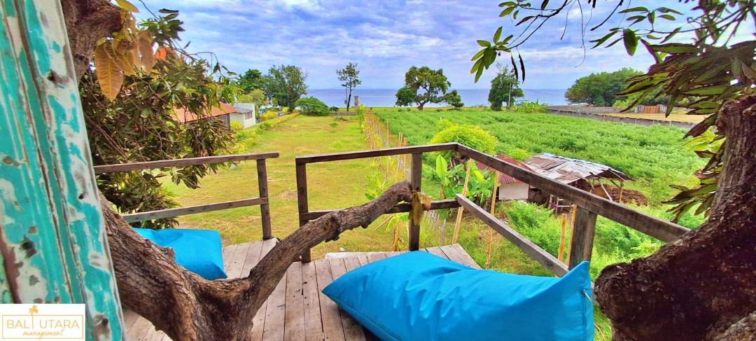 Photo of Others in Kalisada