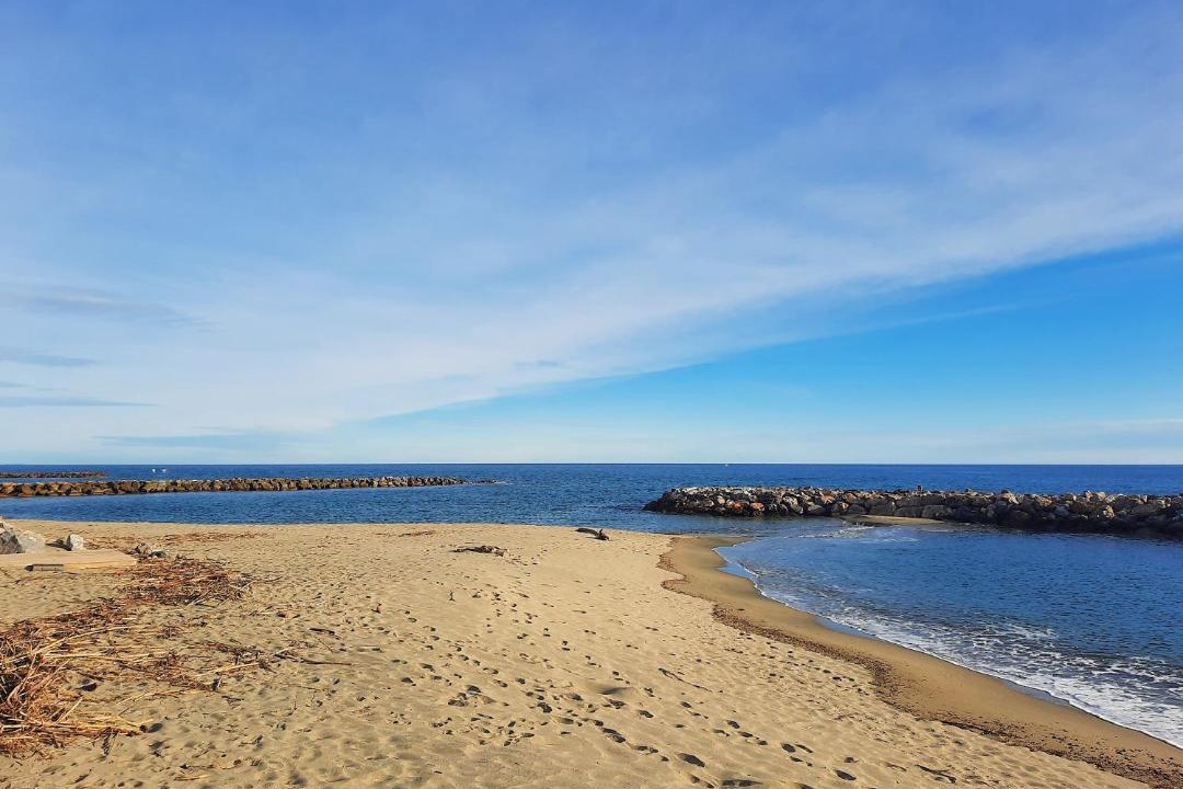 Photo of Others in Sainte-Marie-la-Mer