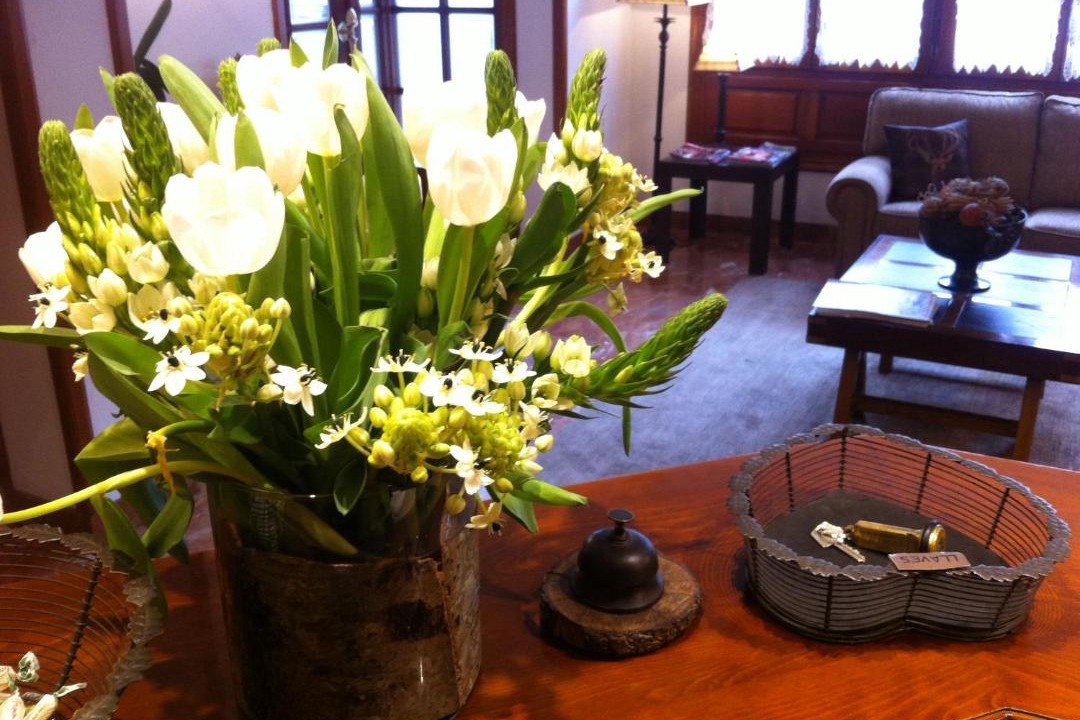 Photo of Livingroom in Vielha