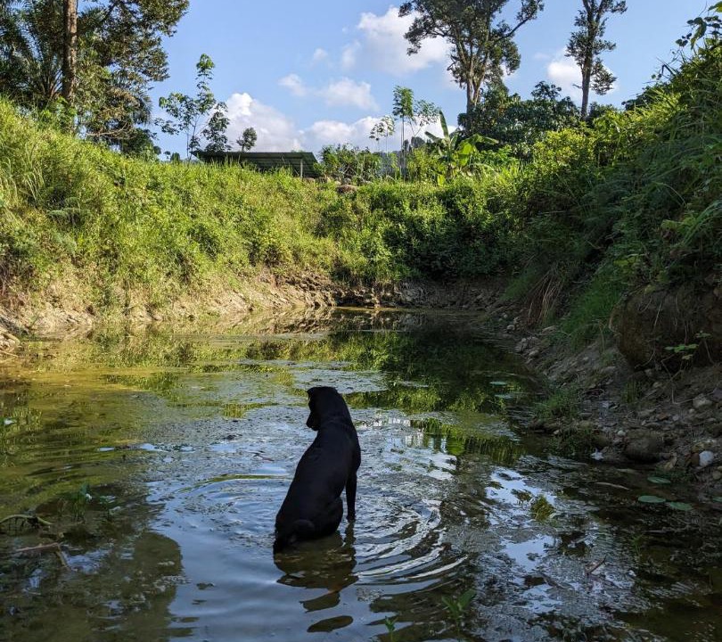 Photo of Others in Ipoh