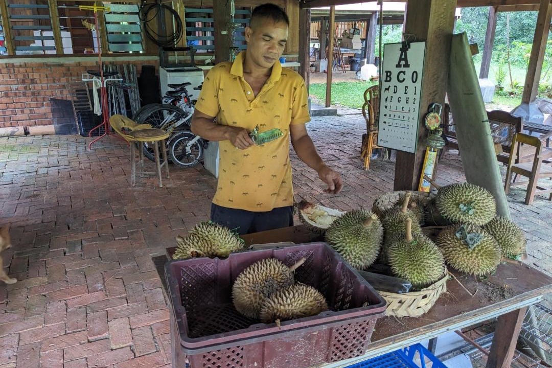 Photo of Others in Ipoh