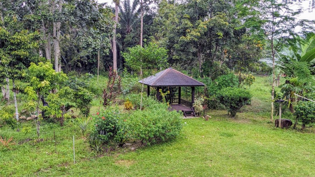 Photo of Others in Ipoh