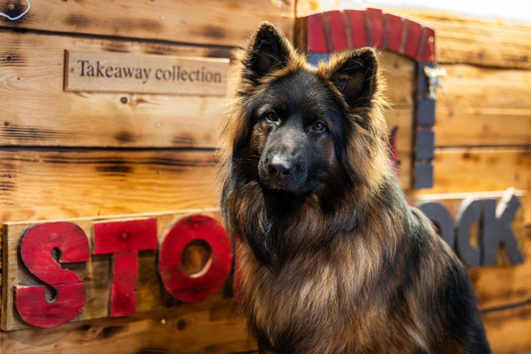 Photo of Others in Chepstow