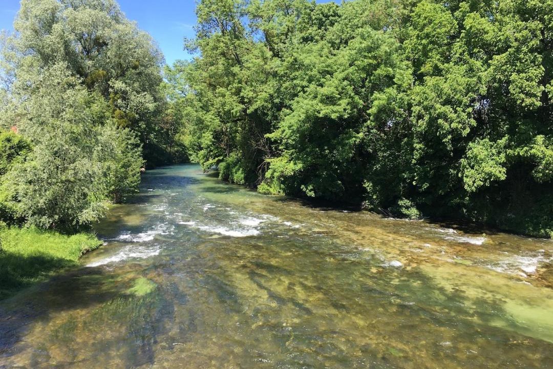 Photo of Others in Dienville