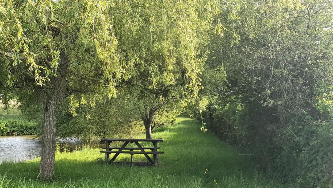 Photo of Others in Chaillac