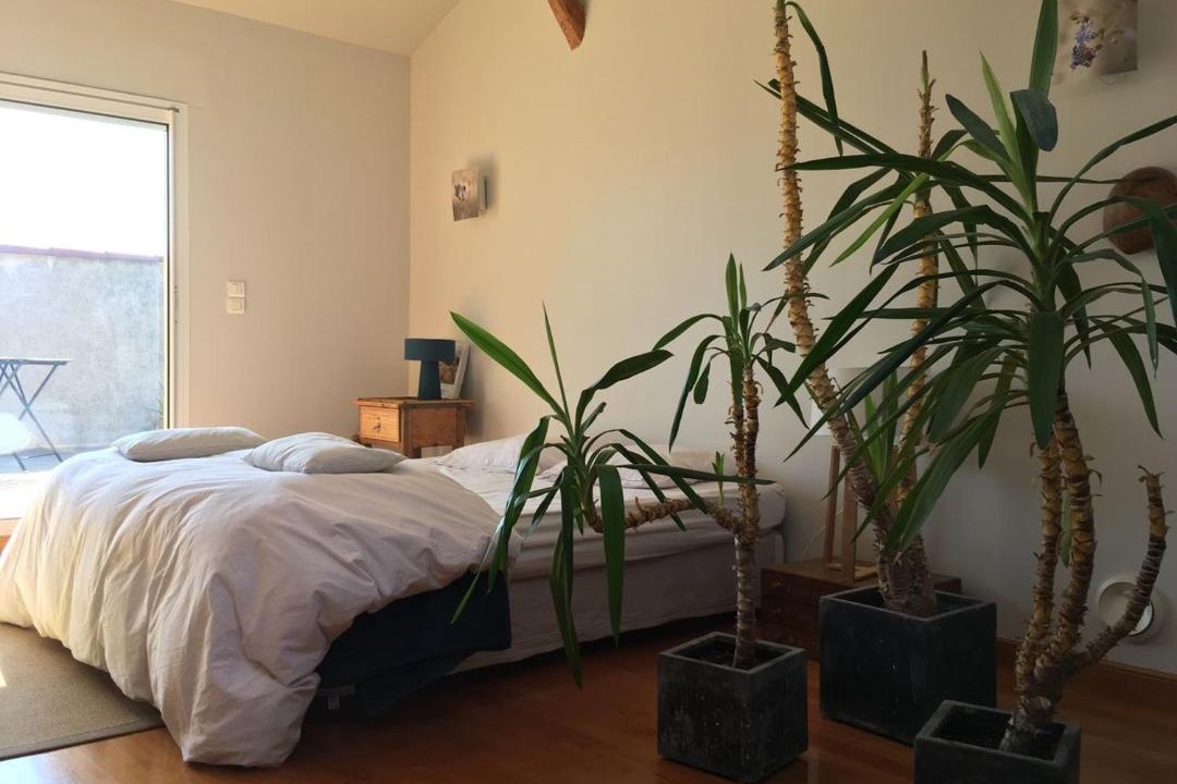 Photo of Others in Lautrec