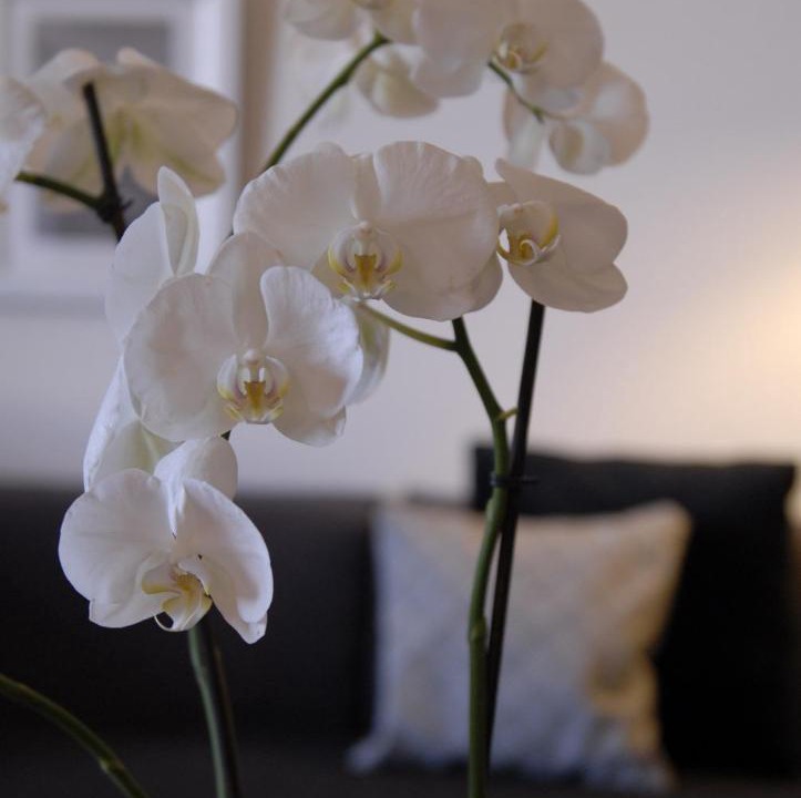 Photo of Others in Lautrec