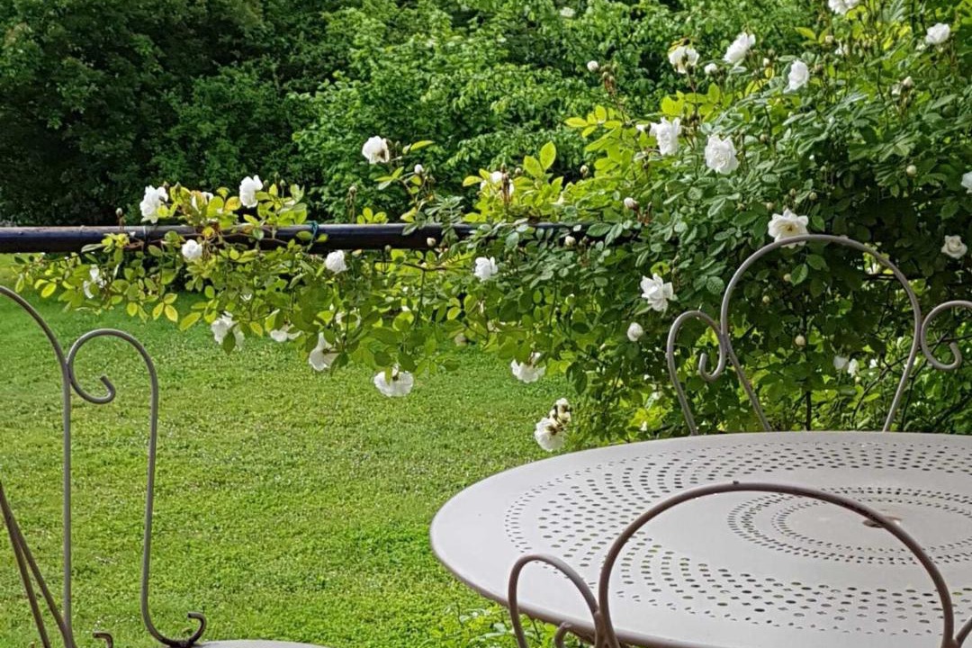 Photo of Others in Lautrec