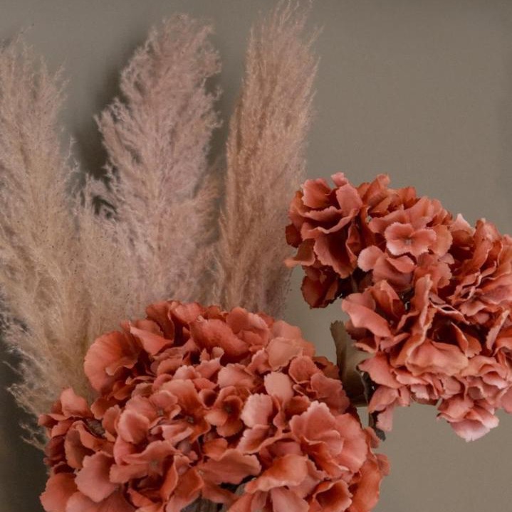 Photo of Others in La Ferte-Bernard