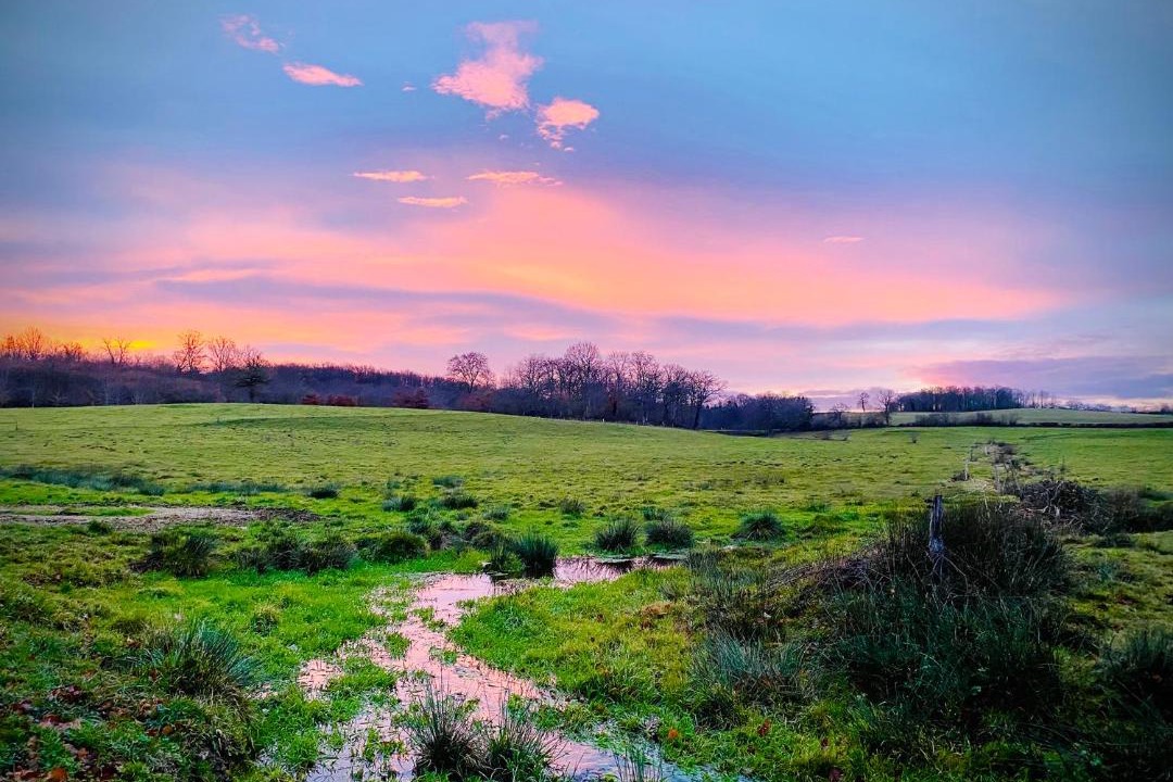 Photo of Others in Sannat