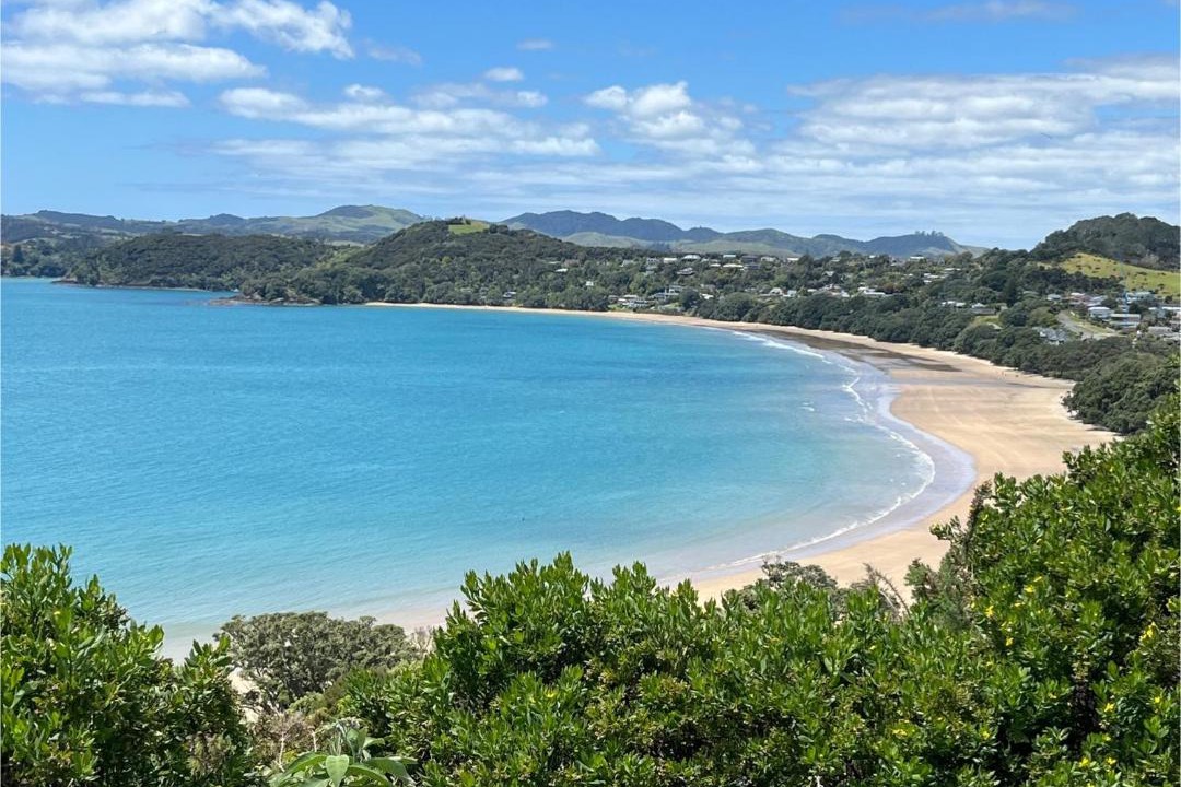 Photo of Others in Coopers Beach