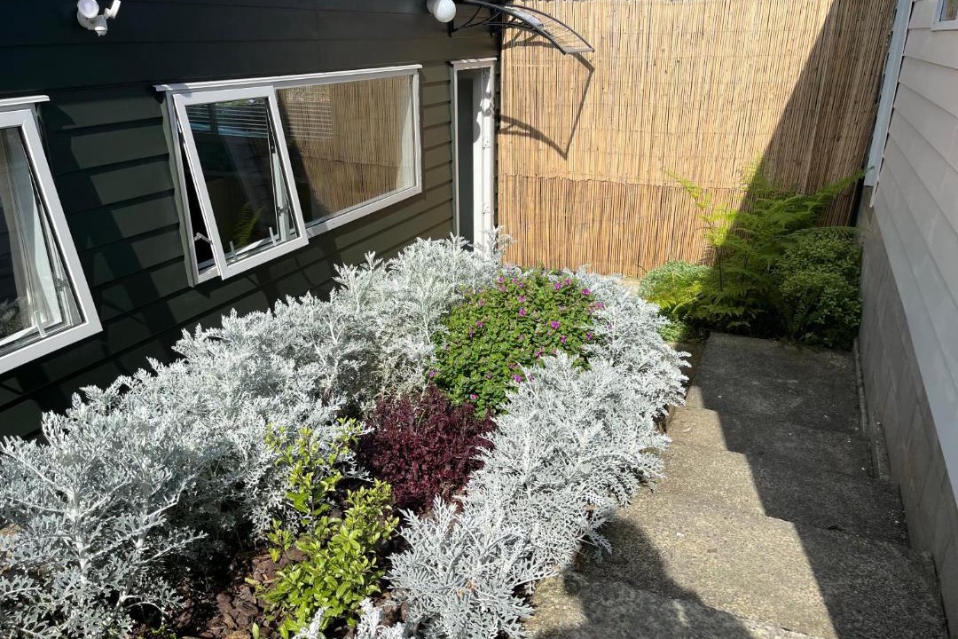 Photo of Others in Coopers Beach